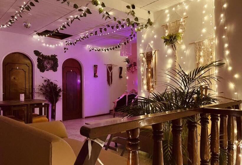 膳宿费 Boutique Tesoro