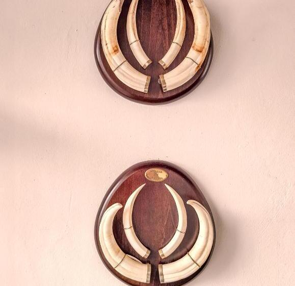 פנסיון Casa Do Ginjal By Naturalegre