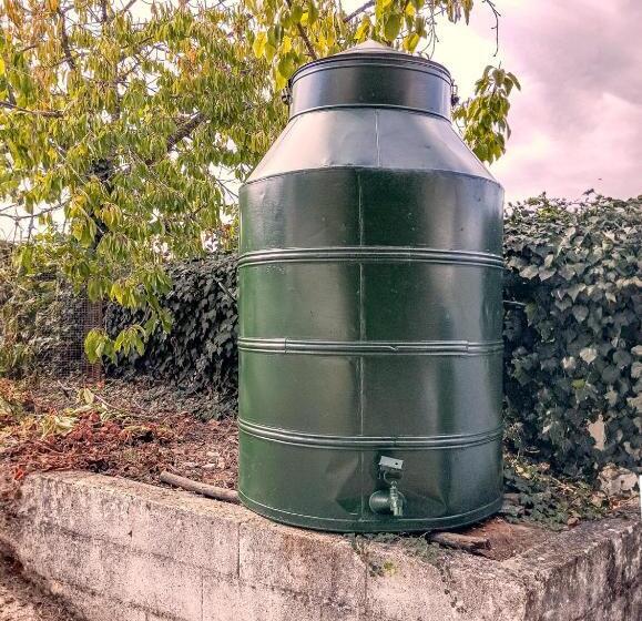 פנסיון Casa Do Ginjal By Naturalegre