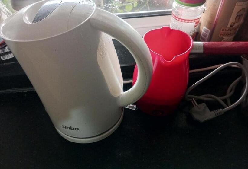 بنسيون Halit Ev 2