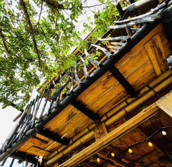 פנסיון La Cabaña Del Nyctibius