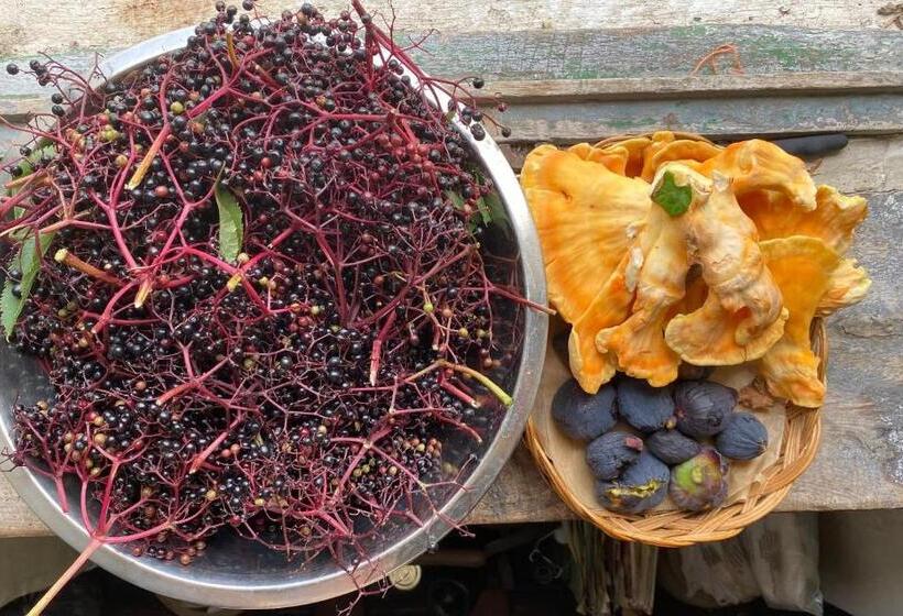 ペンション La Maison Dans La Forêt