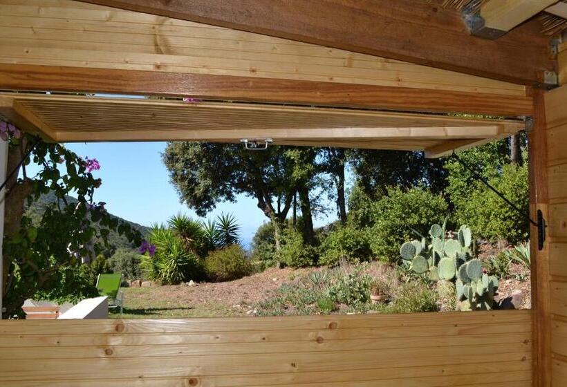 پانسیون Le Clos Ficarella