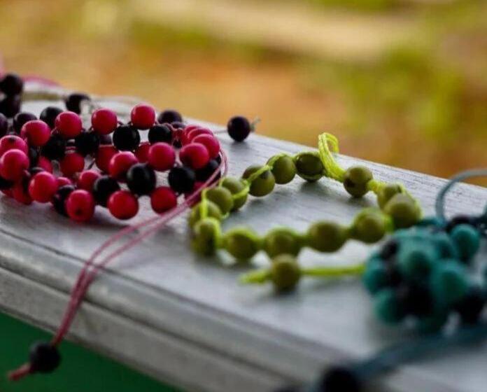 بنسيون Luz Amazônia Lodge