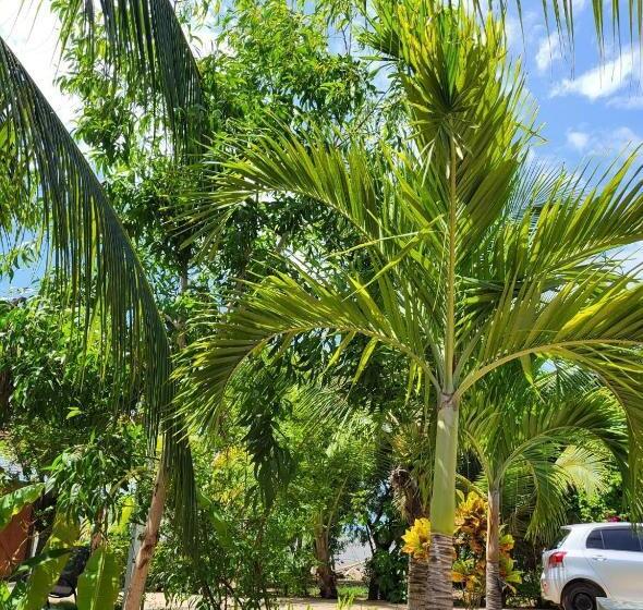 پانسیون Regiment Villa