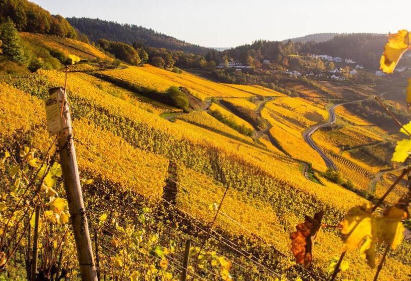 펜션 Wein  Und Gästehaus Lentes