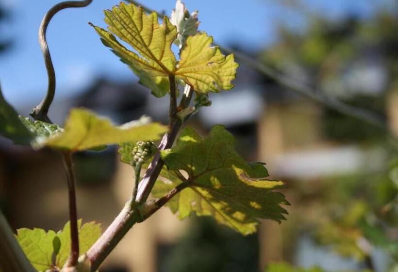 펜션 Wein  Und Gästehaus Lentes