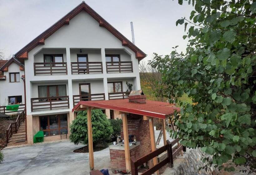 Pensiunea Valea Toplitei