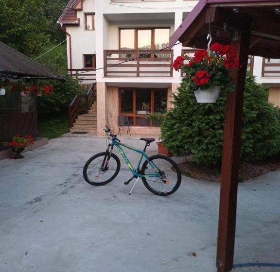 Pensiunea Valea Toplitei