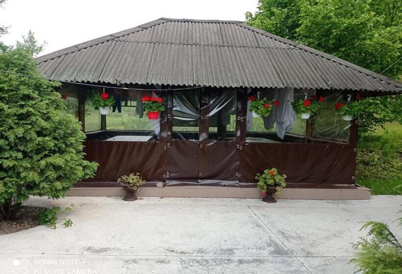 Pensiunea Valea Toplitei