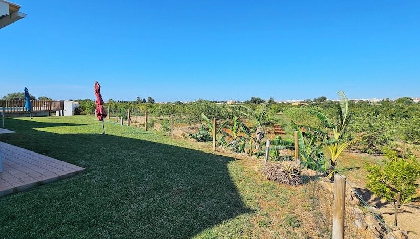 Quinta Da Bornacha   Casa A