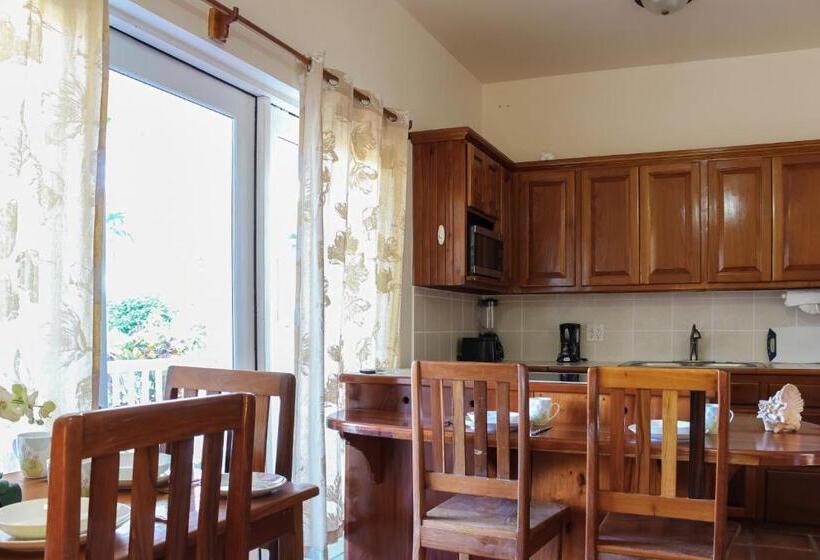 9a Apartments In Sapphire Beach Resort