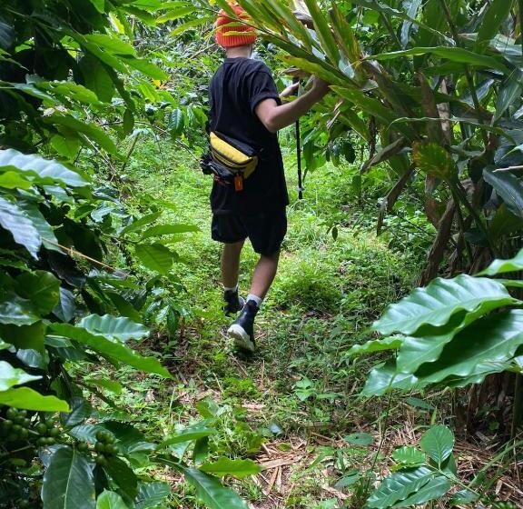 旅馆 Kartika Lodge