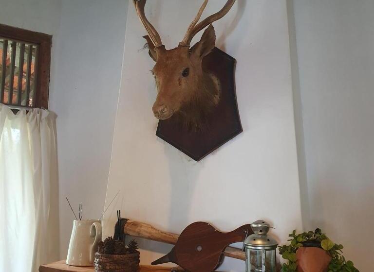 Общежитие Kartika Lodge