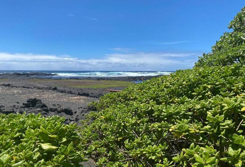 مبيت وإفطار Artsy Cabin On Organic Farm