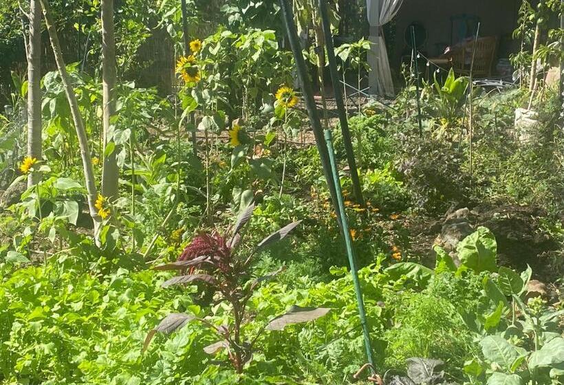 مبيت وإفطار Artsy Cabin On Organic Farm