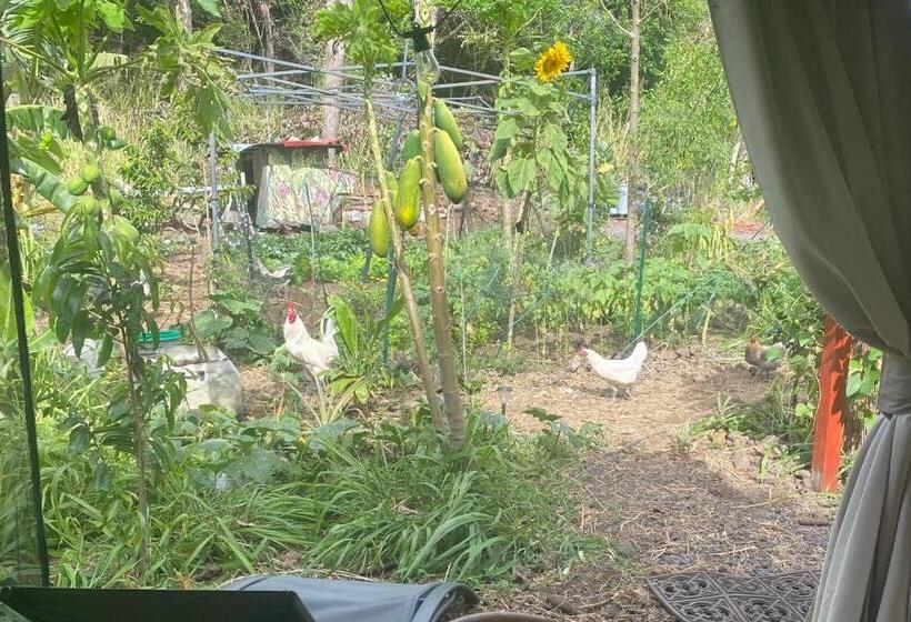 مبيت وإفطار Artsy Cabin On Organic Farm