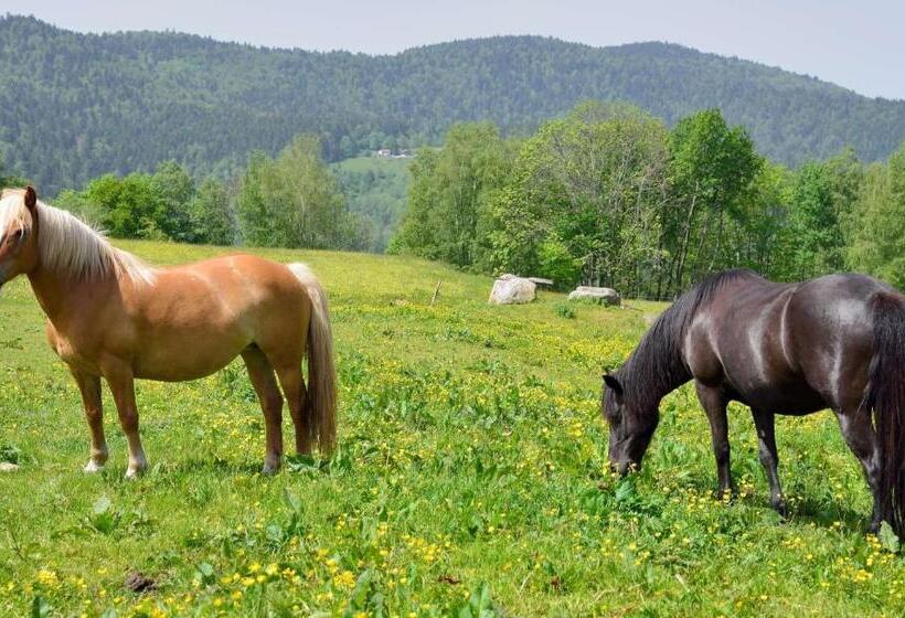 مبيت وإفطار Chambres D Hôtes Hébergement F.mathieu