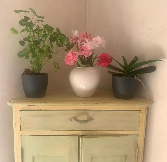 مبيت وإفطار La Rainette En Provence