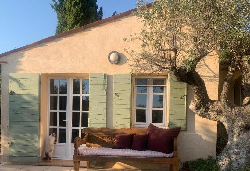 مبيت وإفطار La Rainette En Provence