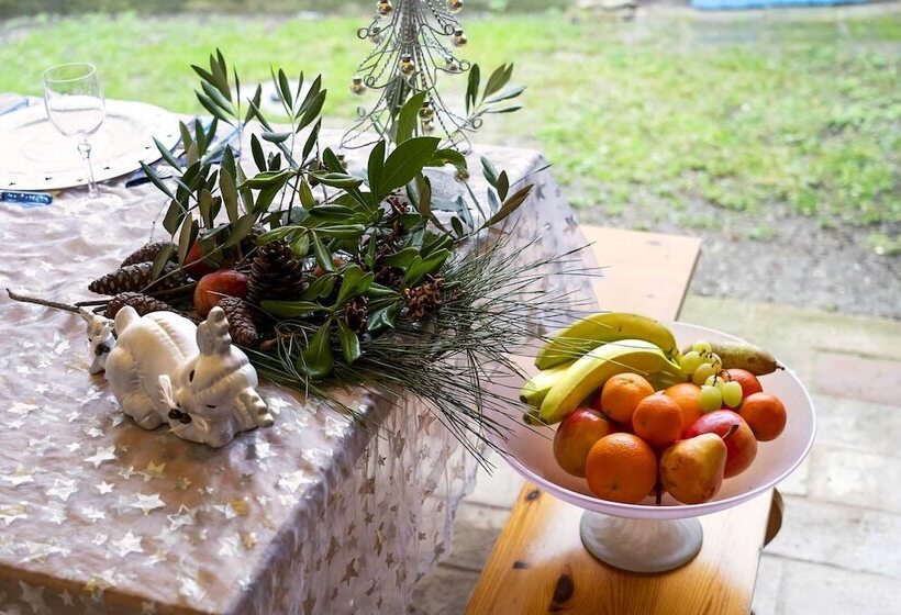 تختخواب و صبحانه Lillac Cottage