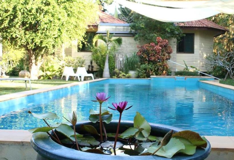 住宿加早餐  Navari Homestay