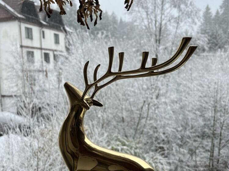 ホテル Cerbul Chalét Accommodation & Wellness