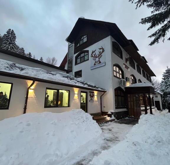 ホテル Cerbul Chalét Accommodation & Wellness