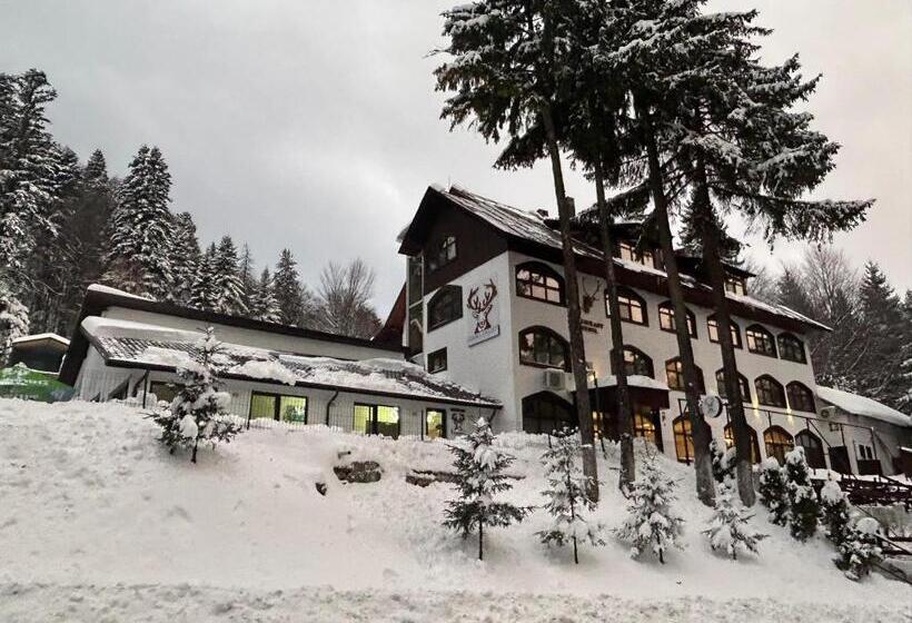 ホテル Cerbul Chalét Accommodation & Wellness