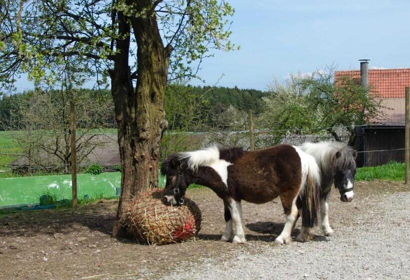 Отель Ferienwohnung Kobelsberg