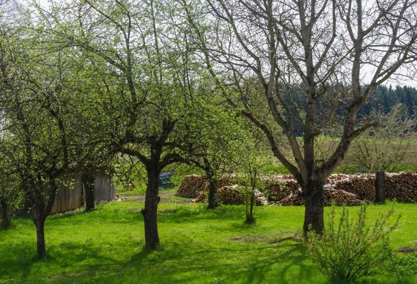 Отель Ferienwohnung Kobelsberg