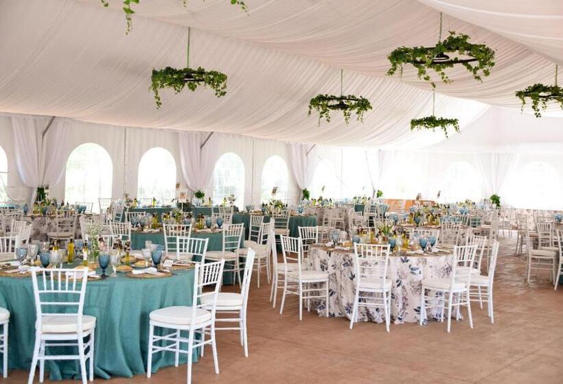 فندق Finca Alarcos