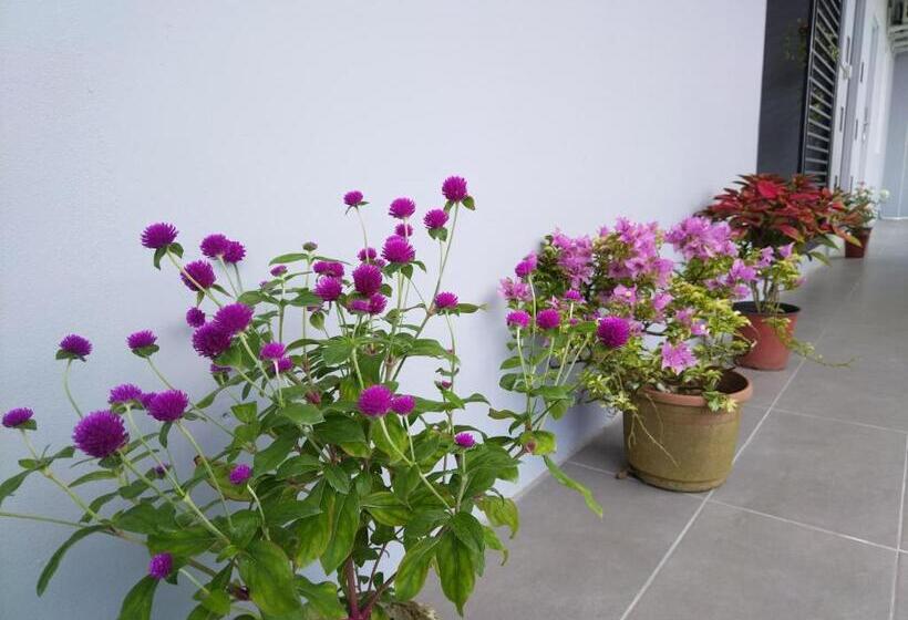 Hôtel Greenery Rooms