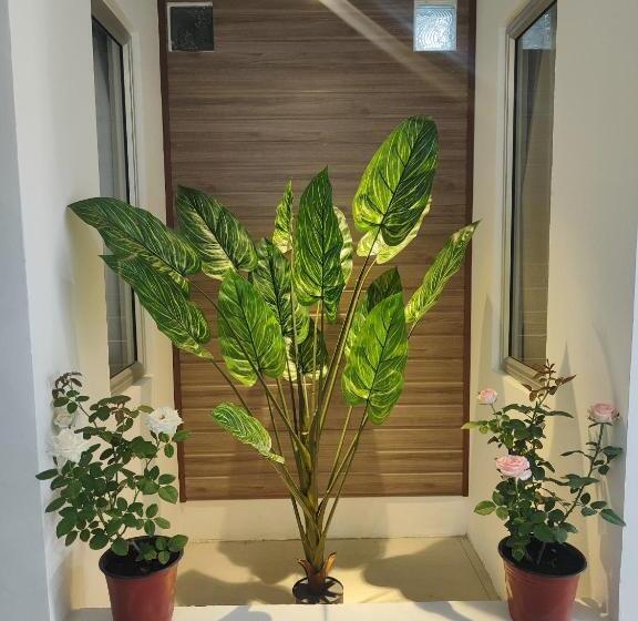 هتل Greenery Rooms