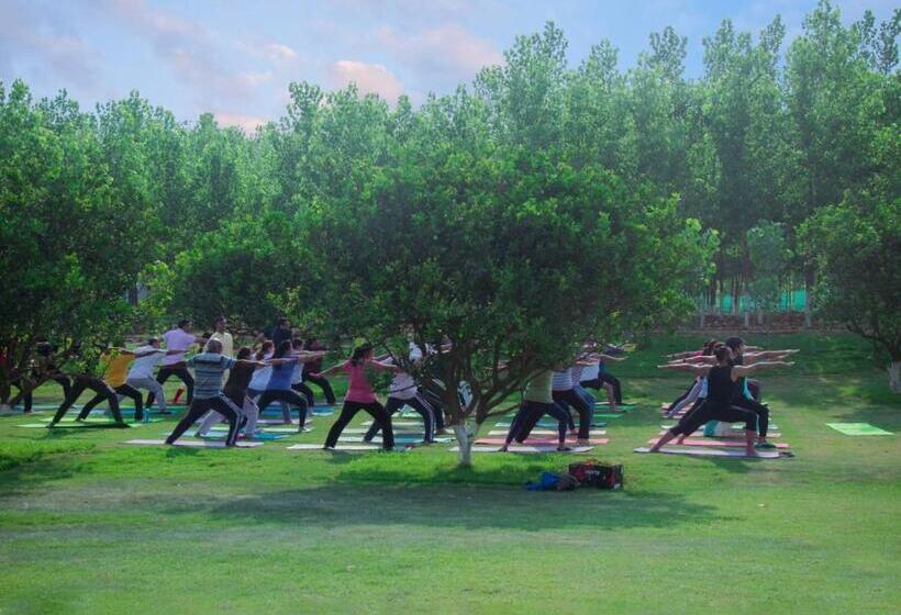 فندق Solis Wellness Retreat