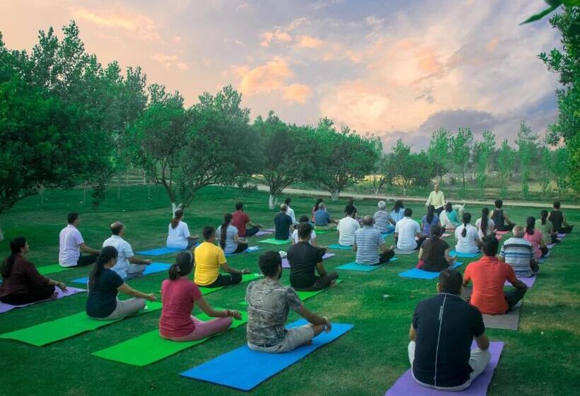 فندق Solis Wellness Retreat