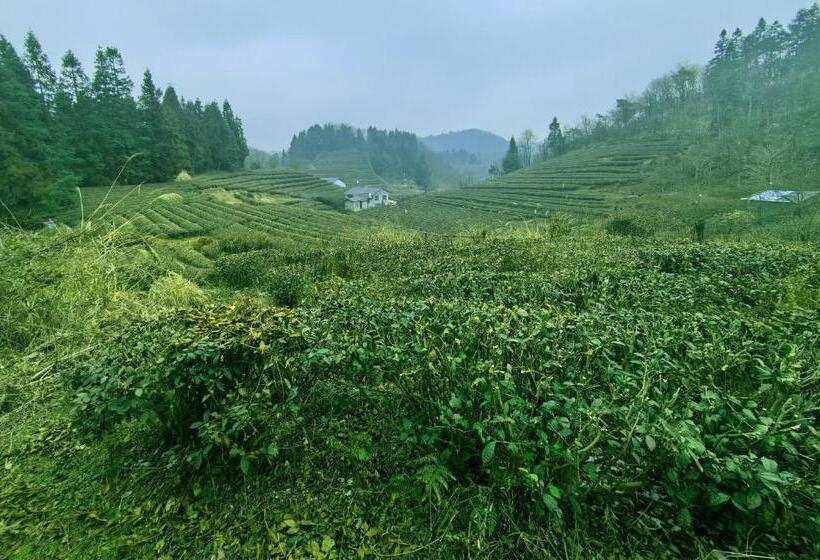 Отель Zhangjiajie Yolo Resort  Within Zhangjiajie National Forest Park