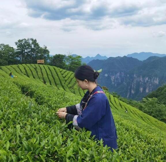 Отель Zhangjiajie Yolo Resort  Within Zhangjiajie National Forest Park