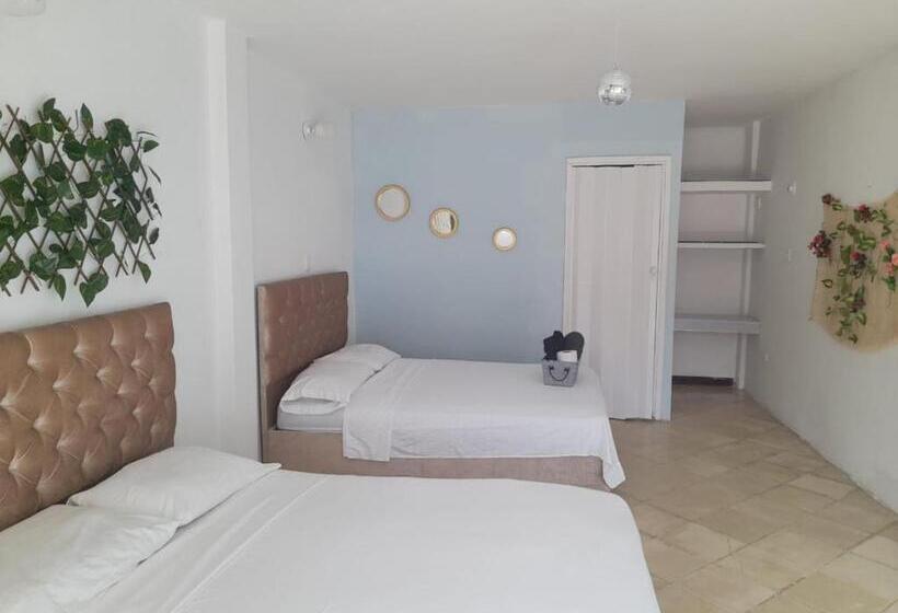 Magia Del Mar Hotel   Restaurante   Bar