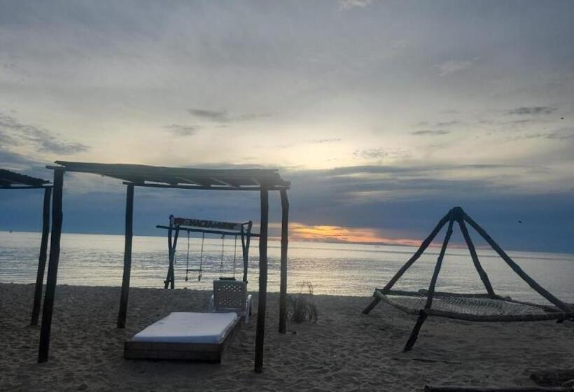 Magia Del Mar Hotel   Restaurante   Bar