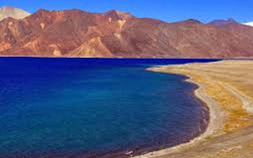 بنسيون Blue Chill Cottage Pangong