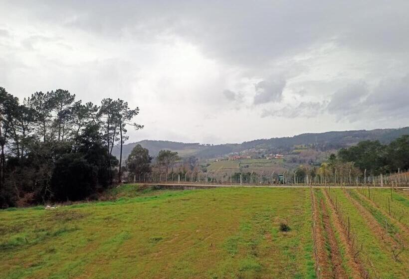 Пансион Casa Do Avò