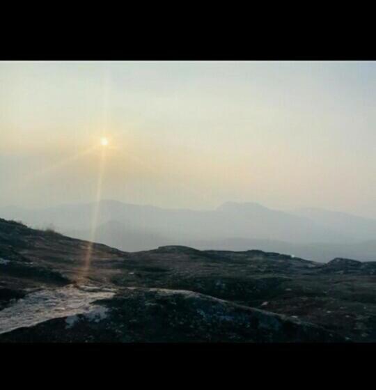 פנסיון Honey Beatle Homestay