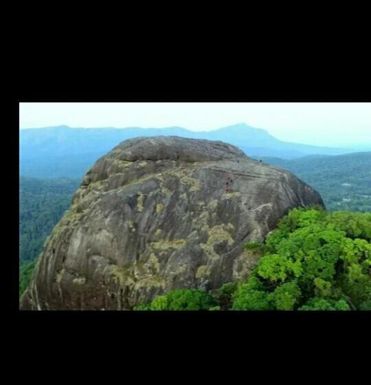 פנסיון Honey Beatle Homestay