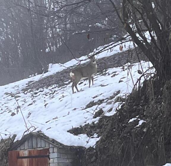 פנסיון Le Moulin De Navette   La Meule