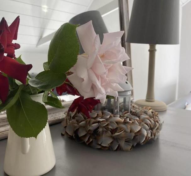 بنسيون Mulberry Studio