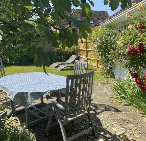 بنسيون Mulberry Studio