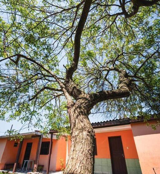 Пансион Pousada Salinas Valle