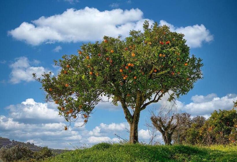 بنسيون Quinta Dos 4 Ventos