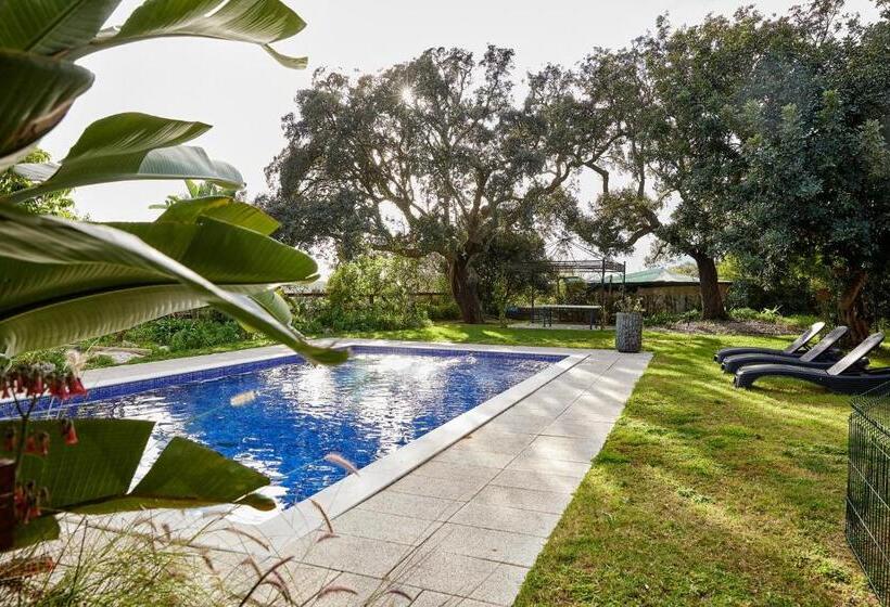 بنسيون Quinta Dos 4 Ventos